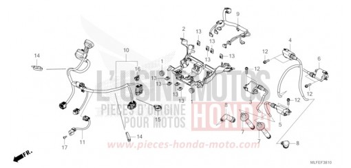FAISCEAU SECONDAIRE/BOBINE D'ALLUMAGE NT1100AS de 2025
